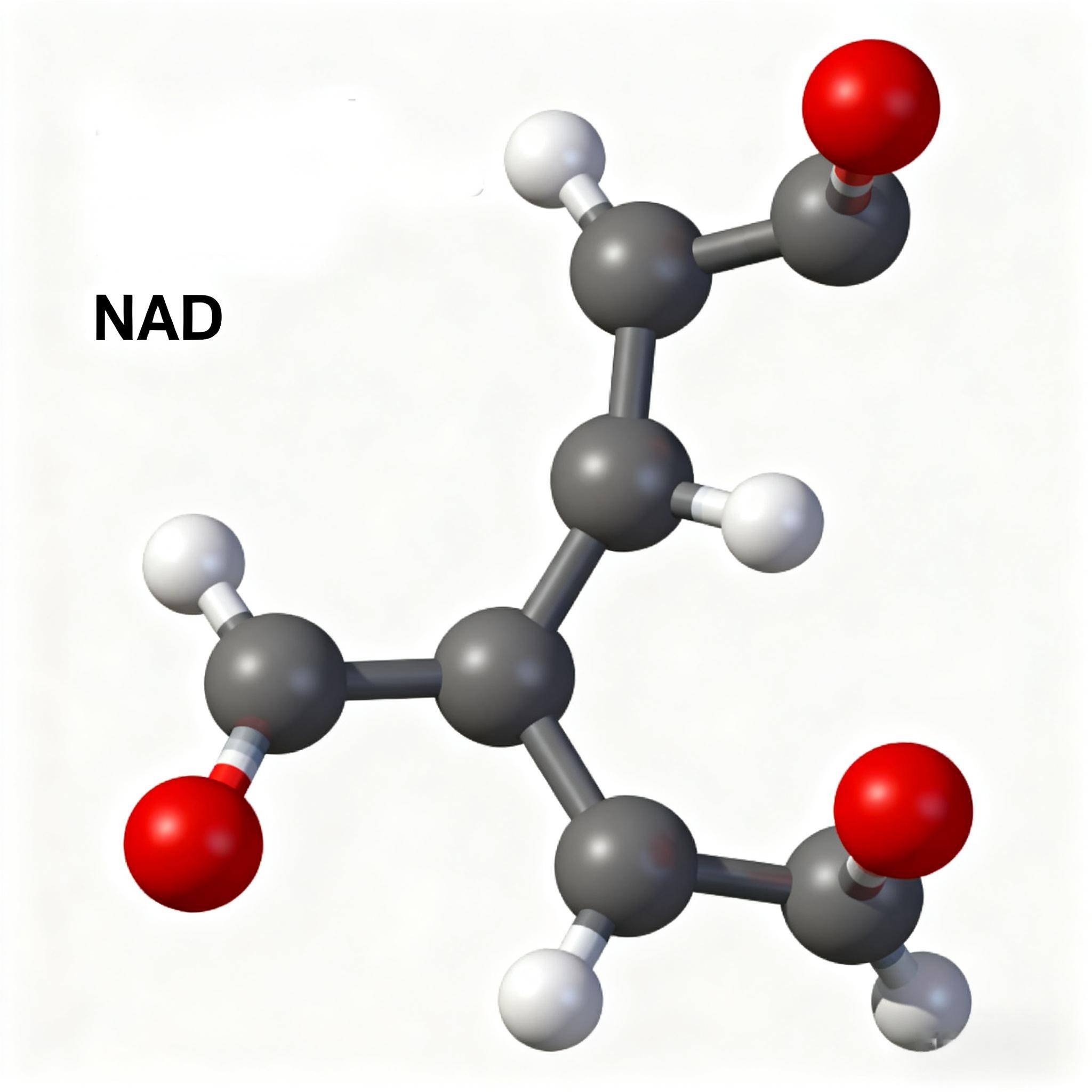 What Is NAD Peptide? Key Benefits, Mechanisms & Quality Assurance